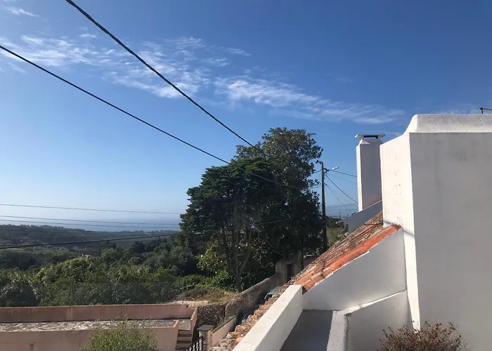 1 Penedo